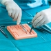 Pele de sutura Treinamento/ Almofada para treino SG02 Ortopahuer